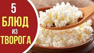 Как приготовить творог: 5 блюд из ТВОРОГА на все случаи жизни