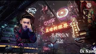 Nonstop [ ARS Remix ] Chinese Song [VIP] 2022 No.36 By「Ck Nang 」