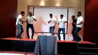 Fuuny Slow Motion Cricket dance