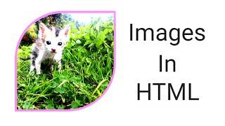 How to Insert Image in HTML using Notepad Step By Step