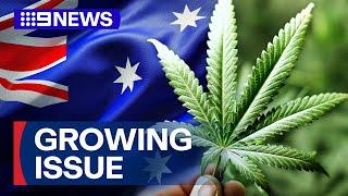 Data reveals just how much Aussies will spend on medical cannabis this year | 9 News Australia