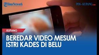 Video Mesum Istri Kades dan Perangkat Desa di Belu Beredar Luas