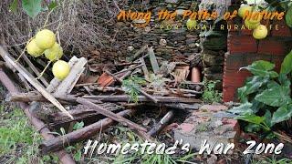 HOMESTEAD'S WAR ZONE (Tackling dangerous ruined coops at my off-grid farm in Central Portugal) *28