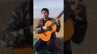 Turkmen gitara taze 2018