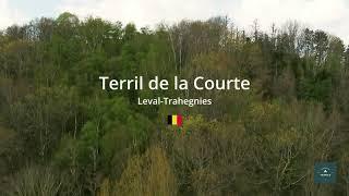 Terril de la Courte (Leval-Trahegnies - Belgique)