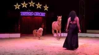 Summer and her horses at Zippos Circus 2015