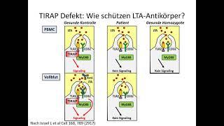 Teil 33: TIRAP