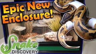 New SNAKE DISCOVERY Enclosure! How to Build and Decorate it!