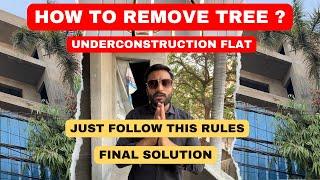 Process of Removing/ Cutting a Tree in Front of Your Property: Legal Action & Non-Bailable Offence