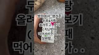 시험관 성공 할 수 있었던 나만의 비법!! #주부vlog #브이로그 #일주일브이로그 #시험관 #시험관브이로그 #시험관시술 #웃긴영상 #섬신할머니잘부탁드려요
