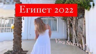 Мёрзну в  Египте /Египет  2022/ Viva Sharm 3* / Alena Mi