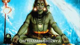1008 Times - Om Namah Shivaya - Sri Ganapathy Sachchidananda Swamiji