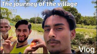 Journey of the village | Mr Abid | Mr Adil | in summer season | vlog | jungle vlog