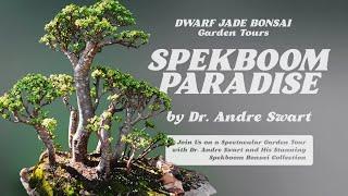 Spekboom Paradise - Dwarf Jade Bonsai, Garden Tours with Dr. Andre Swart