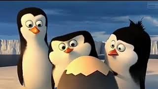 pinguin toxic meme BIBD(BADAN INTEELIJEN B*K*P DUNIA EPS 1)