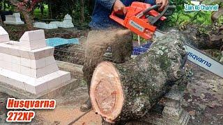 Evacuation of Fallen Trees - Chainsaw Husqvarna 272 XP