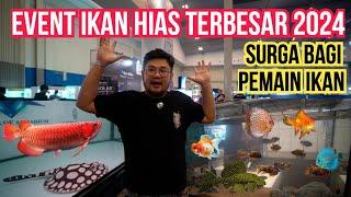 PAMERAN IKAN HIAS TERBESAR 2024‼️SURGANYA PENGHOBI IKAN UNTUK HUNTING