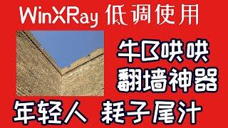 WinXRay一个牛B哄哄的翻墙神器,科学上网客户端,什么 v2ray xray trojan  等全都支持, WinXRay最新教程,全程无脑操作,一看就会,还送你WinXRay开发工具介绍