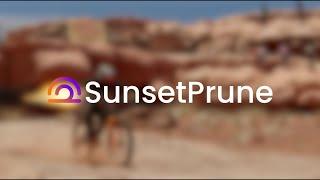 SunsetPrune Studios 2024 Showreel