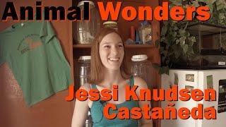 Jessi Knudsen Castañeda // Animal Wonders Montana