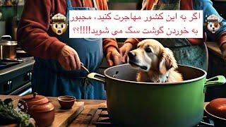 EP21 اگر به این کشور مهاجرت کنید مجبور به خوردن گوشت سگ می شوید!!! ؟؟؟