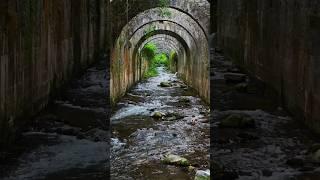 Ruinas de la Real Fábrica de Armas de Orbaitzeta #ruins #factory #remains #river #nature #old