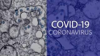 DeKalb County Hosts Coronavirus Virtual Town Hall