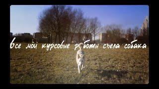 Все мои курсовые работы съела собака - реж. Максим Ахметов