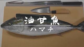 【油甘魚】刺身料理分享 • 切魚示範（中文字幕）