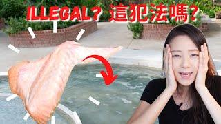 [Experiment] Cooking Chicken Wing + Onsen egg + Rice with Sembawang Hotspring water｜Angel Hsu