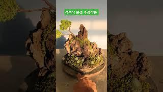 석부작 수강작품 바위솔아트지도사 민간자격증 도전기 #바위솔 #용설 #한국바위솔협회