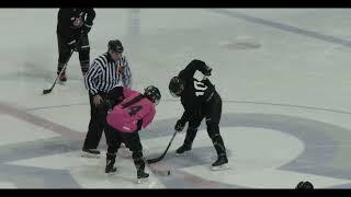 EnAbling Change Program 2024-25– Canadian Blind Hockey [Described Video] [Deadline: June 2024]