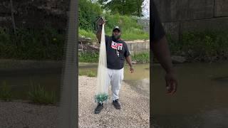 How to throw a castnet for beginners! #fishing
