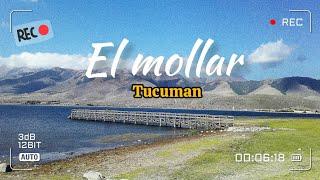 EL MOLLAR, tucuman