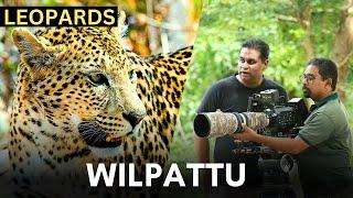 Filming LEOPARDS at WILPATTU | SRI LANKA