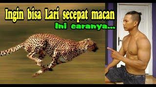 Latihan untuk menambah kecepatan Lari / menambah Speed Lari / Otan GJ