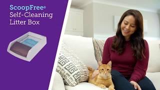 Scooping Stinks! PetSafe® ScoopFree® Self-Cleaning Litter Box