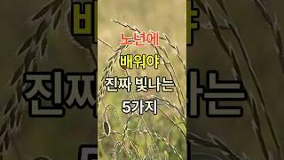 노년에 배워야 빛이 나는 것들, 지금 배워도 늦지 않은 것들 #명언 #노년생활 #좋은글
