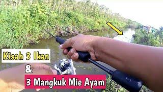 Nekat ! Ikan - Ikan Penghuni Parit Kecil Ini Terciduk