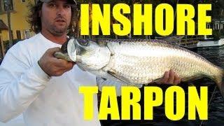 The Mullet Run - Inshore Florida Tarpon Fishing