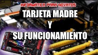 Informática para novatos: Tarjeta Madre y su Funcionamiento | Bien explicado