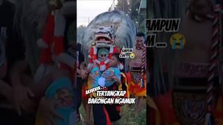 Tertangkap Barongan Ngamuk #shorts #barongan #baronganngamok #baronganngamuk #jaranan #barongangalak