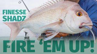 How to catch Snapper and Flathead fishing the Brisbane River - ZMan 4" Finesse ShadZ soft plastics.