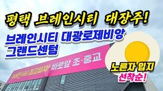 평택 브레인시티 대광로제비앙 그랜드센텀 미래 대장주 미분양 아파트 노른자 위치!