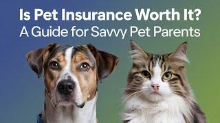 Is Pet Insurance Worth It? A Guide for Savvy Pet Parents