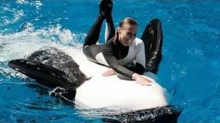 SeaWorld's Old Shamu "Believe" Show With Trainers in the Water!!!