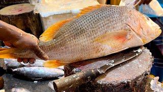 Incredible Big Red Snapper Fish Cutting Skills In Fish Market | Fish Cutting Skills