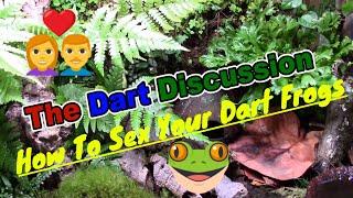 The Dart Discussion Episode 5 How To Sex Your Dart Frogs