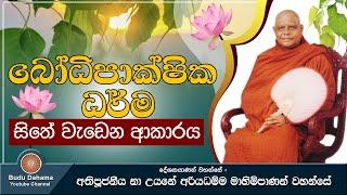 බෝධිපාක්ෂික ධර්ම සිතේ වැඩෙන ආකාරය | Bodhipakshika Dharma | Most Ven. Na Uyane Ariyadhamma Maha Thero