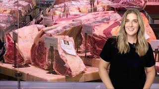 Carnivore Grocery Shopping in Spain